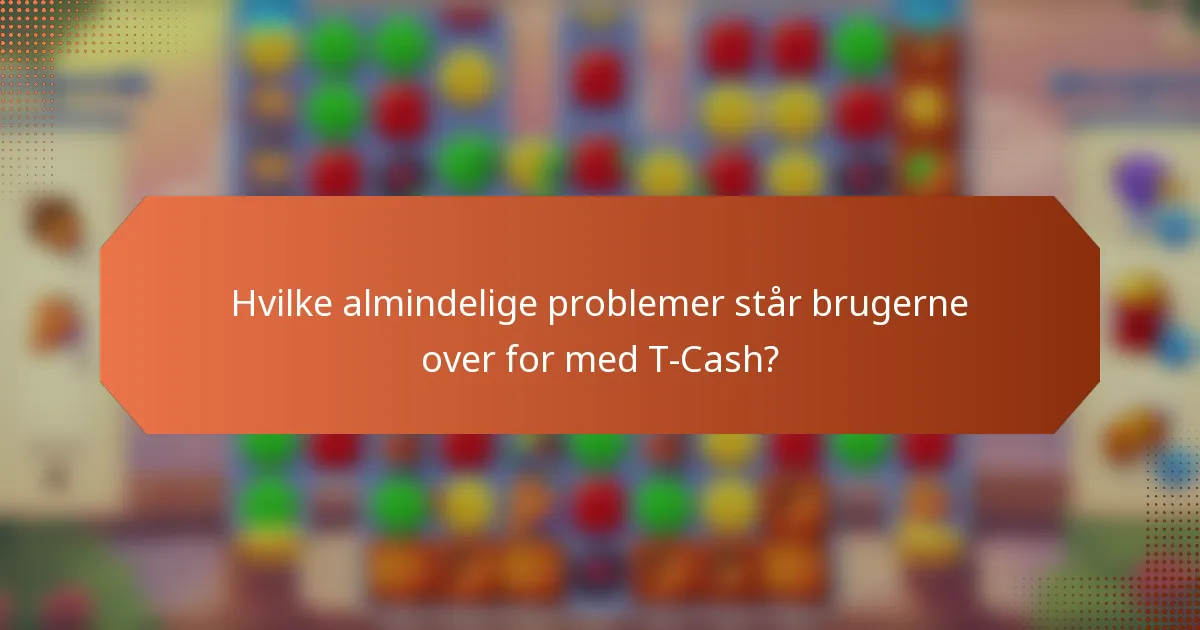 Hvilke almindelige problemer står brugerne over for med T-Cash?